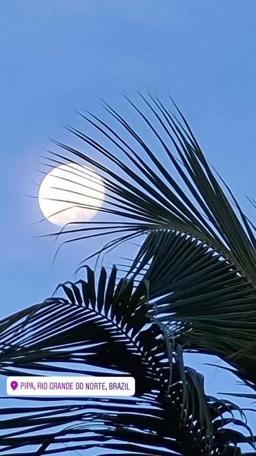 Chale 17 - Porto Do Sol - Pipa Lejlighedshotel Praia de Pipa Eksteriør billede